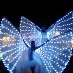 Show Farfalle Luminose al taglio torta nuziale