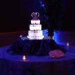 Show delle Luci su Torta Nuziale