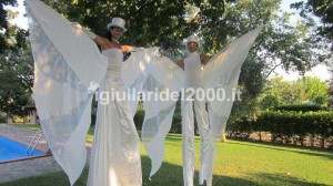 Trampolieri Alati White