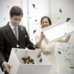 volo farfalle depliant 1