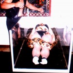 Attrazioni Mozzafiato 2