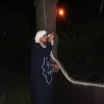 Incantatore serpenti