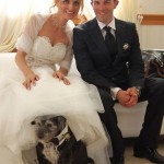 Servizio Dogs Parking per Sposi 13