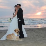 Servizio Dogs Parking per Sposi 2