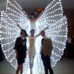 Farfalle Luminose per Eventi