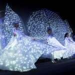 Show Trampolieri Farfalle Luminose